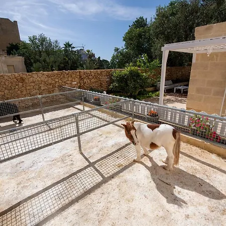 Bliss Boutique Living Отель типа 