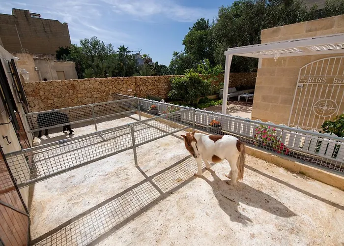 Bliss Boutique Living Bed & Breakfast